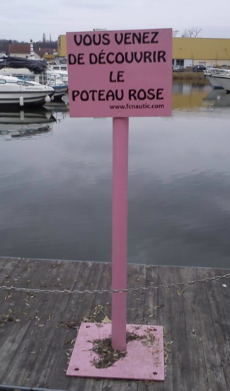 http://croque-bouquins.fr/wp-content/uploads/2013/12/pot-aux-roses.png